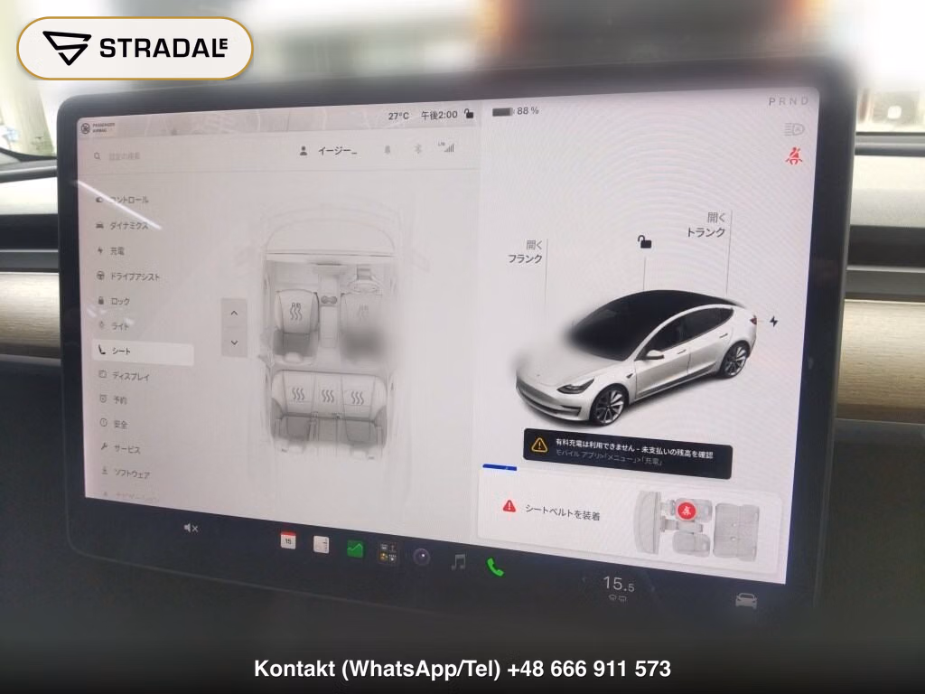 TESLA MODEL 3 STANDARD RANGE PLUS, miniaturka 7