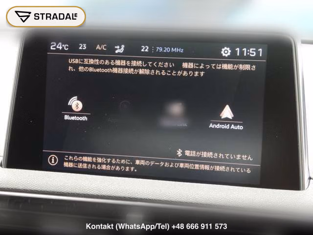PEUGEOT 3008 GT LINE BLUE HDI, miniaturka 11