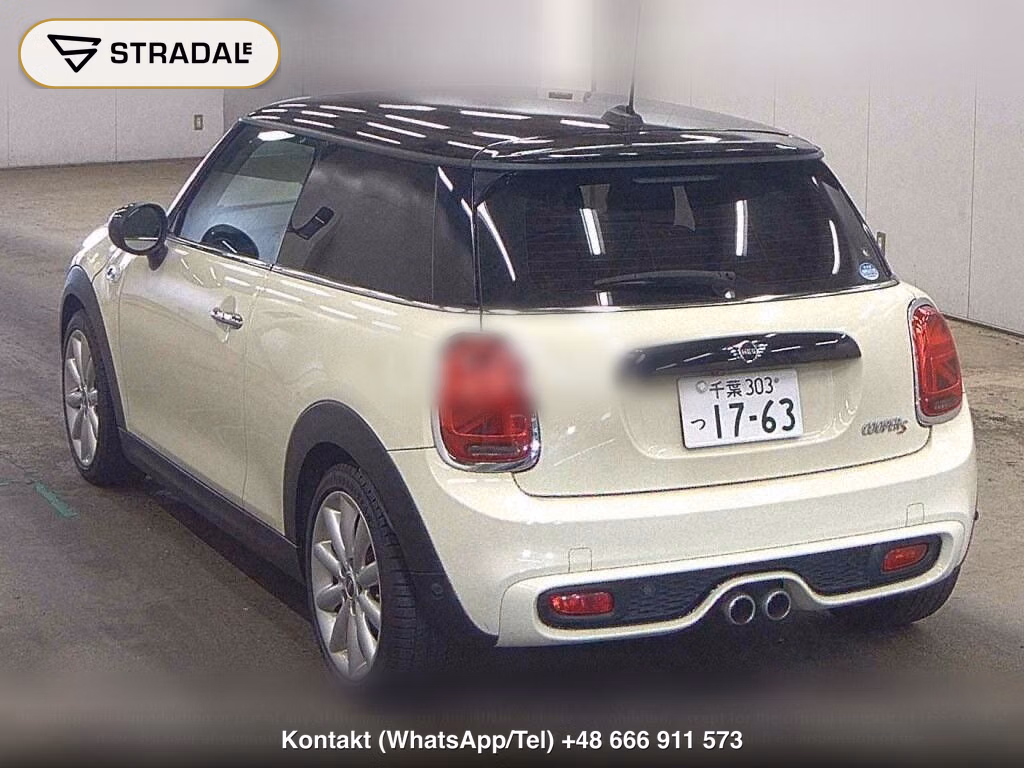 MINI MINI 3D COOPER S, miniaturka 3