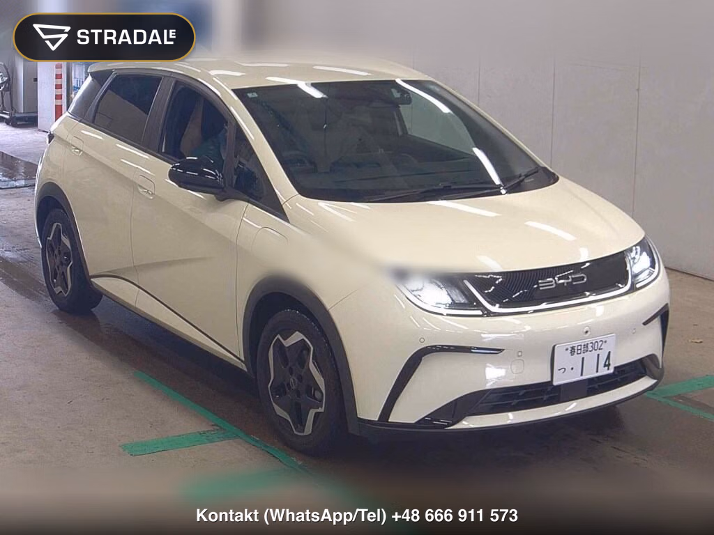BYD DOLPHIN BASELINE 2025, aukcja z Japonii, zdjęcie 1
