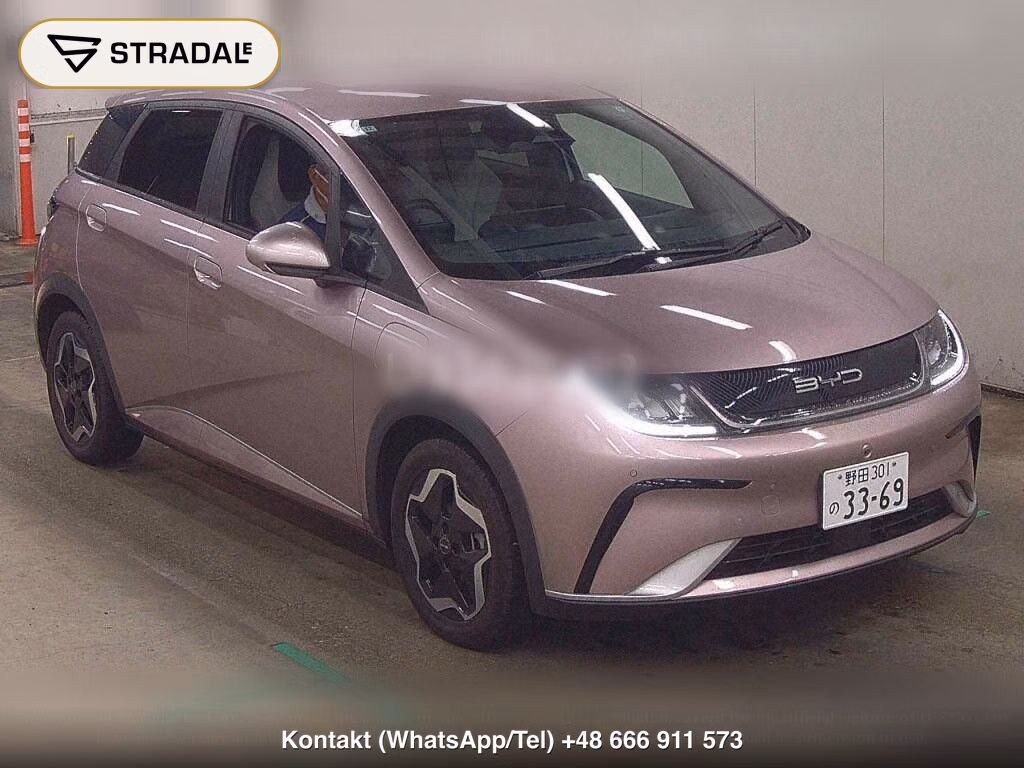 BYD DOLPHIN BASE GRADE, miniaturka 2