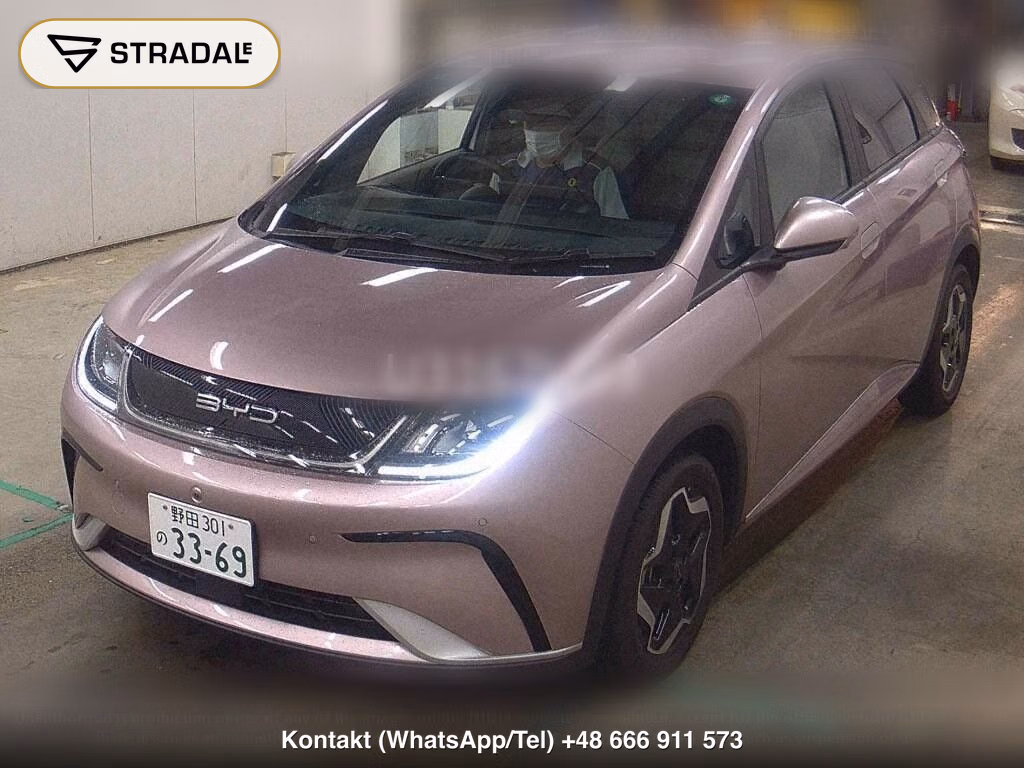 BYD DOLPHIN BASE GRADE, miniaturka 5