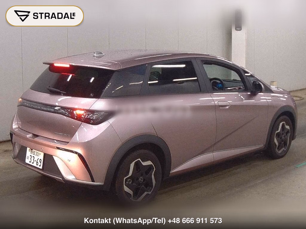 BYD DOLPHIN BASE GRADE, miniaturka 6