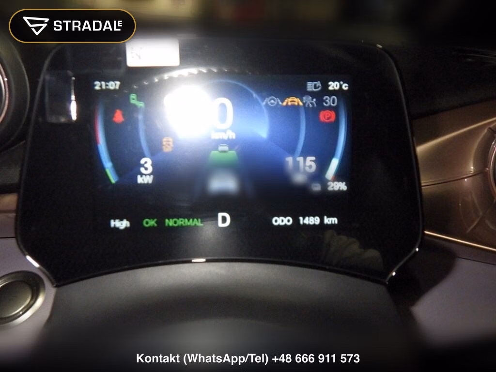 BYD DOLPHIN BASE GRADE, miniaturka 7