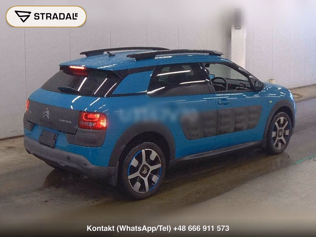 CITROEN C4 CACTUS, miniaturka 6