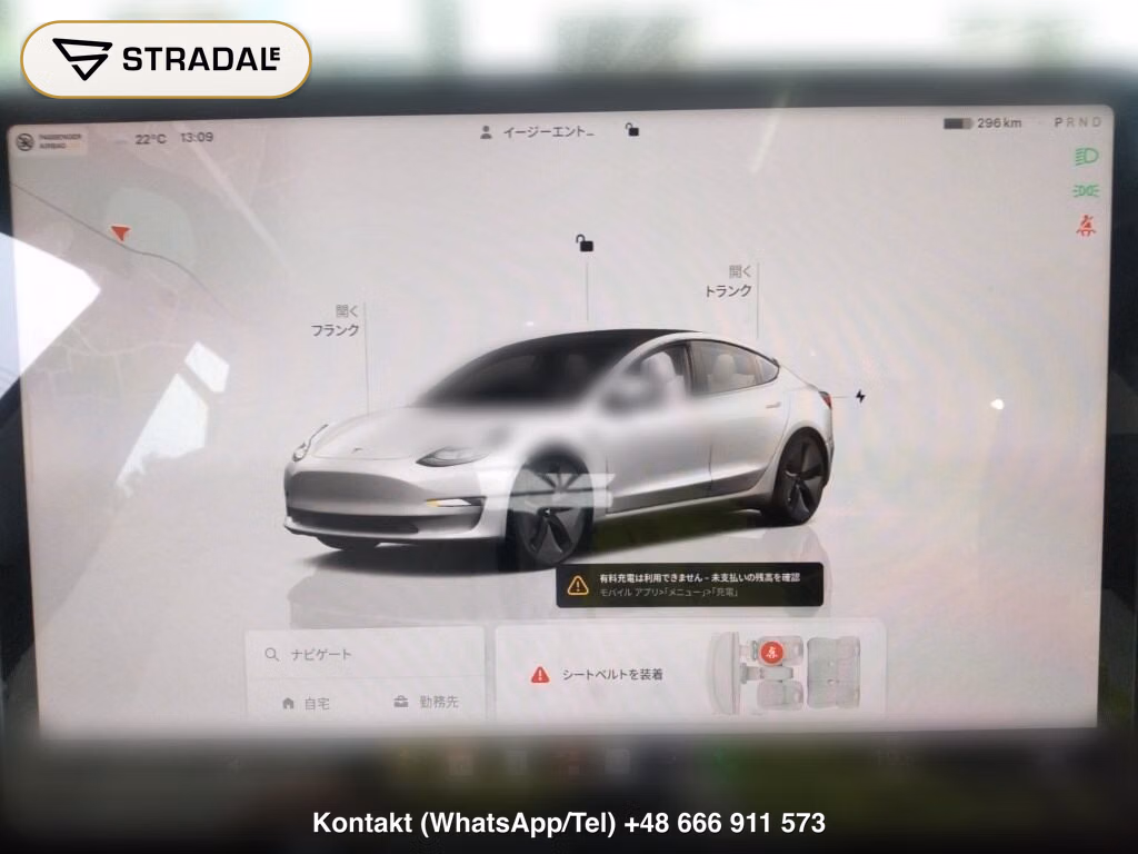 TESLA MODEL 3 BASE GRADE, miniaturka 7