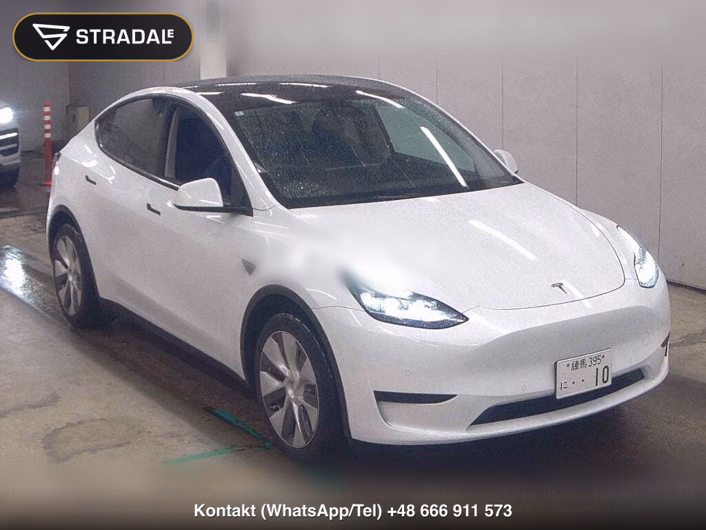 TESLA MODEL Y RWD, miniaturka 2
