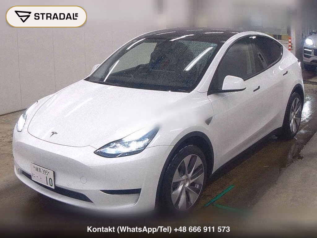 TESLA MODEL Y RWD, miniaturka 5