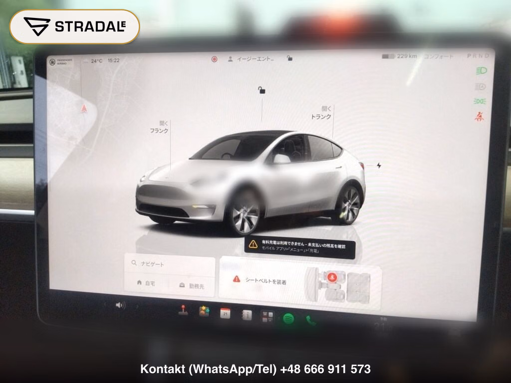 TESLA MODEL Y RWD, miniaturka 7
