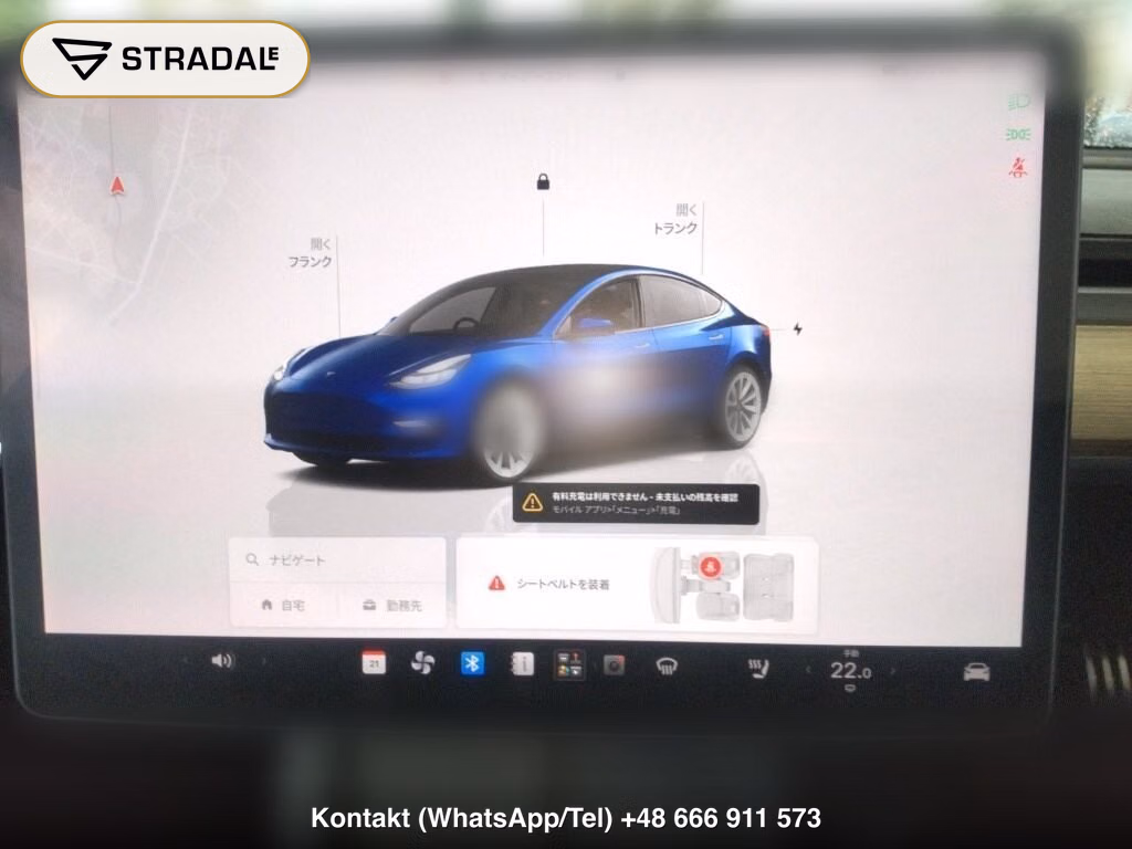 TESLA MODEL 3 BASE GRADE, miniaturka 7