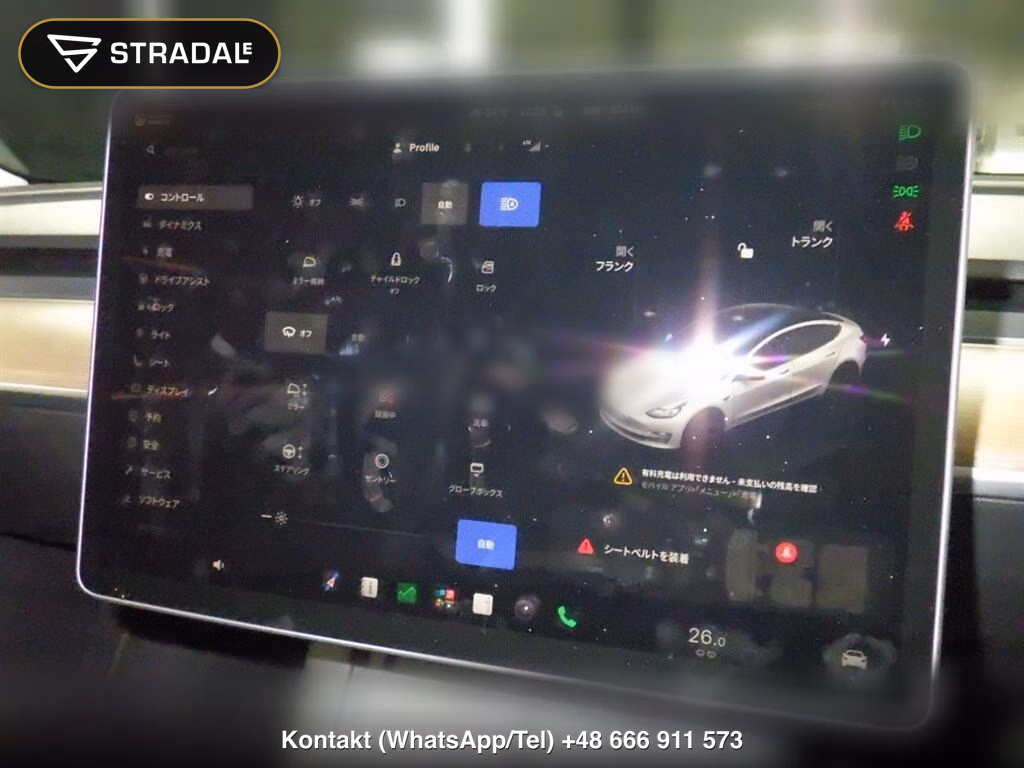 TESLA MODEL 3 BASE GRADE, miniaturka 7