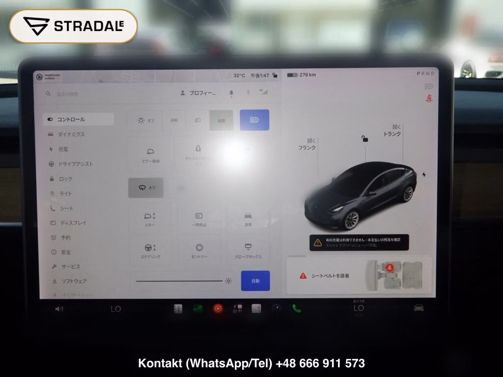 TESLA MODEL 3 4WD LONG RANGE, miniaturka 7