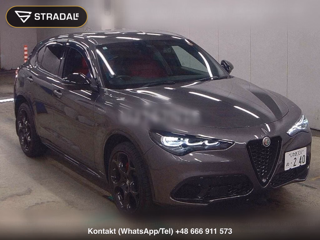 ALFA ROMEO STELVIO 4WD 2.2 TURBO DIESEL Q4 VELOCE, miniaturka 2