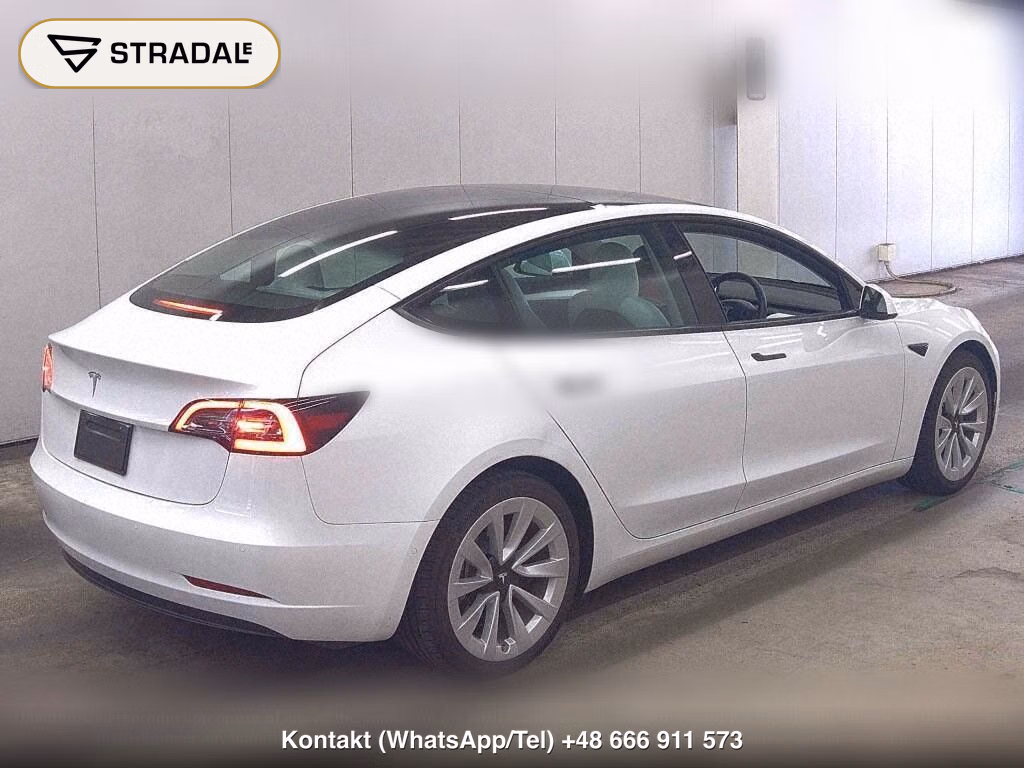 TESLA MODEL 3 STANDARD RANGE PLUS, miniaturka 6