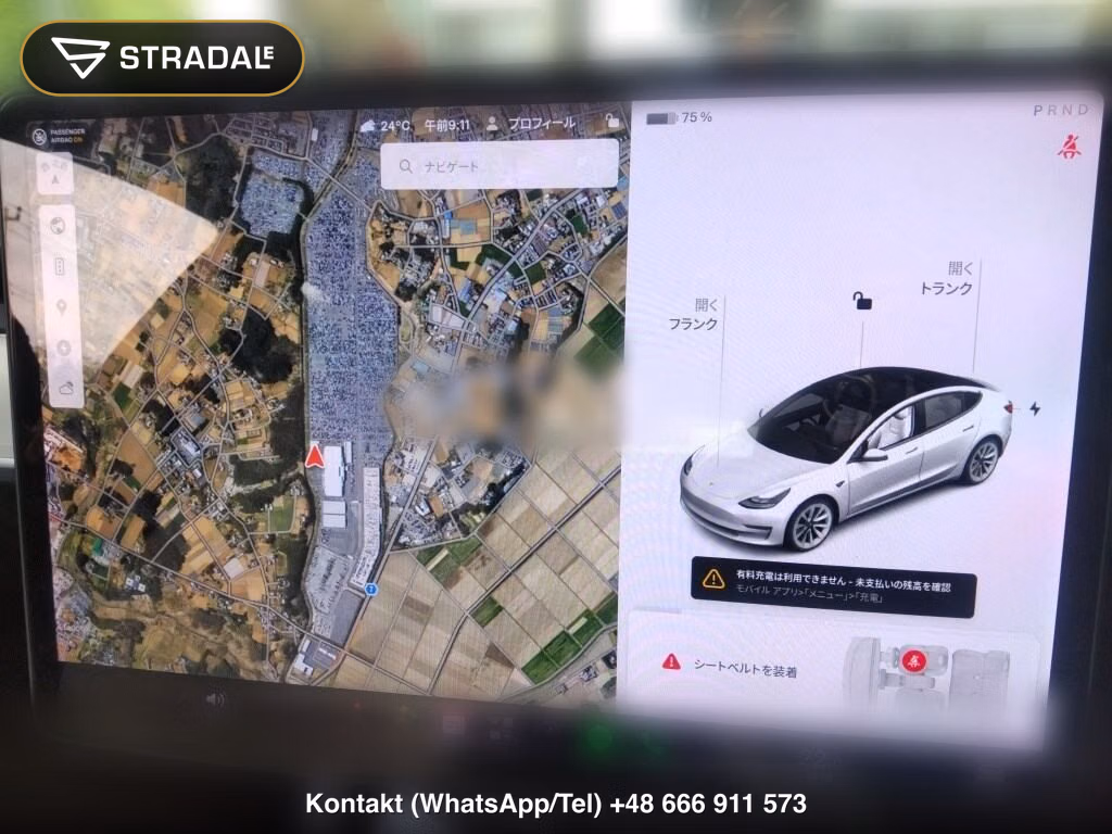 TESLA MODEL 3 STANDARD RANGE PLUS, miniaturka 7