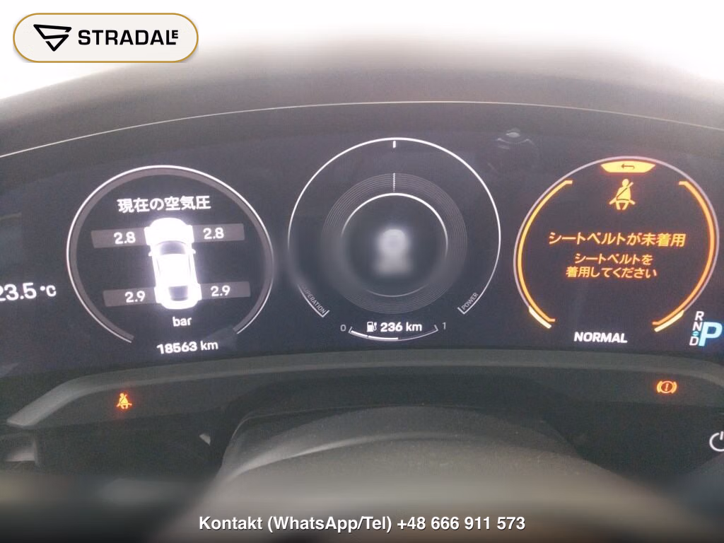 PORSCHE TAYCAN 4D 4WD TURBO S, miniaturka 7