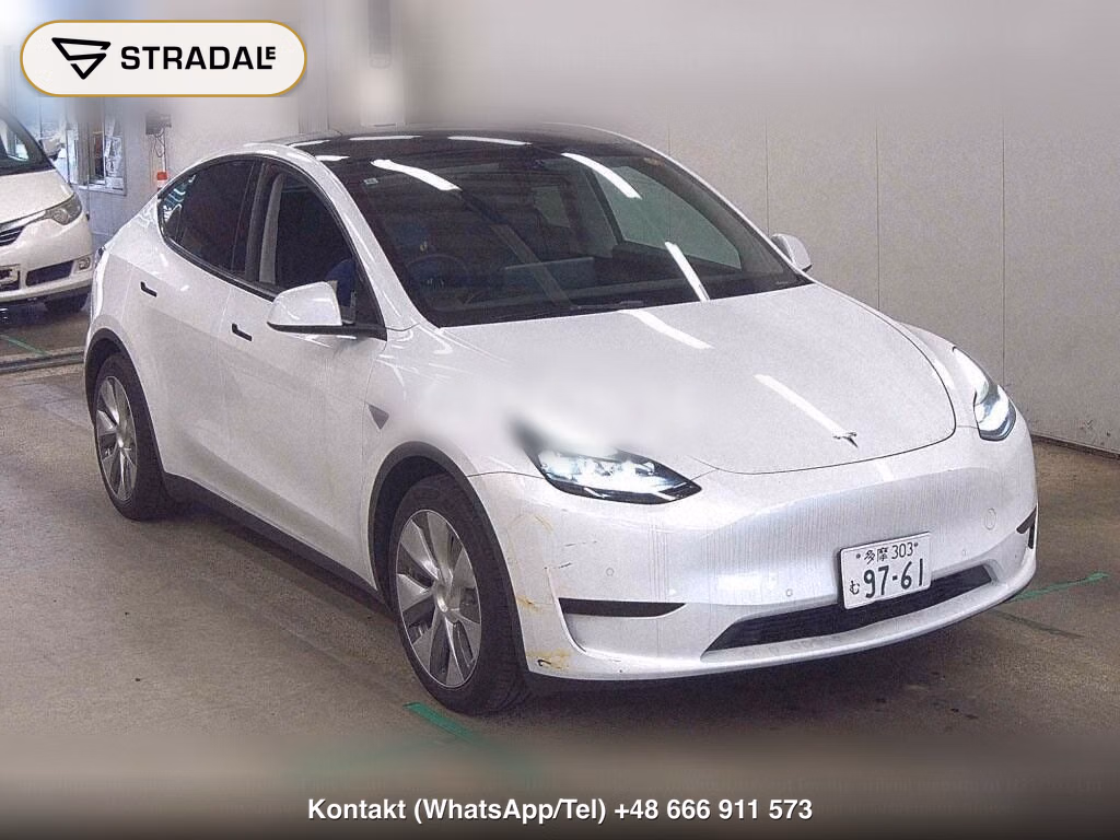 TESLA MODEL Y RWD, miniaturka 2