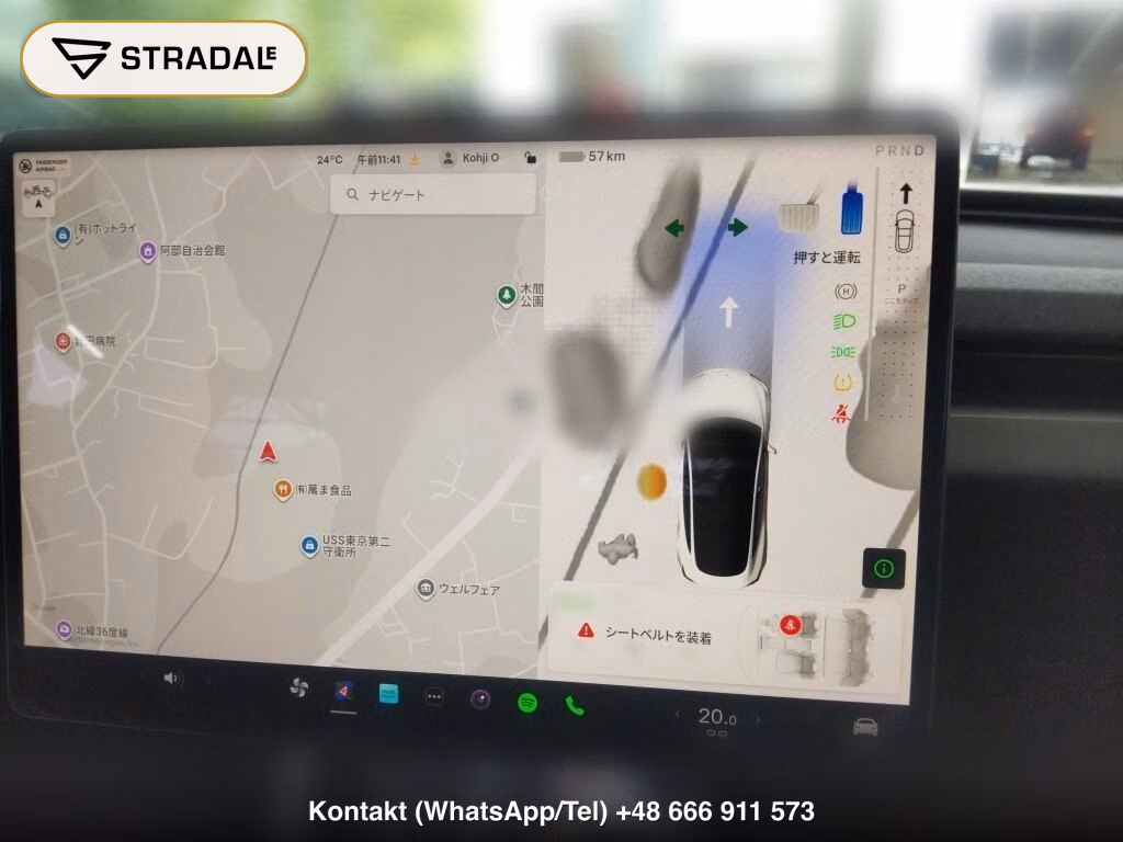 TESLA MODEL 3 4WD LONG RANGE, miniaturka 7