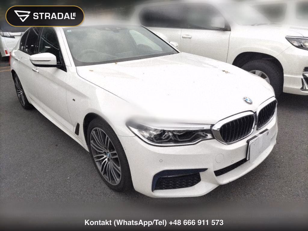 BMW 5 SERIES 4D 523I M-SPORT, miniaturka 2