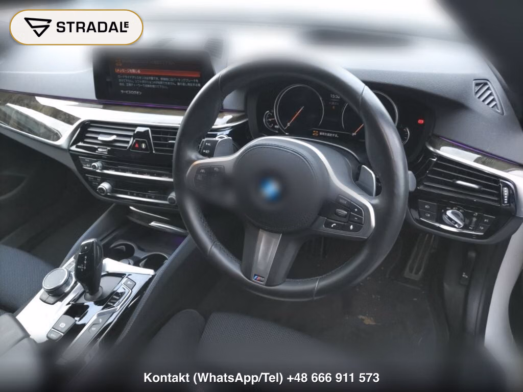 BMW 5 SERIES 4D 523I M-SPORT, miniaturka 4