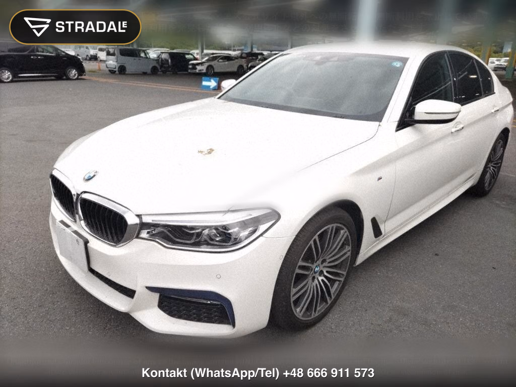 BMW 5 SERIES 4D 523I M-SPORT, miniaturka 5