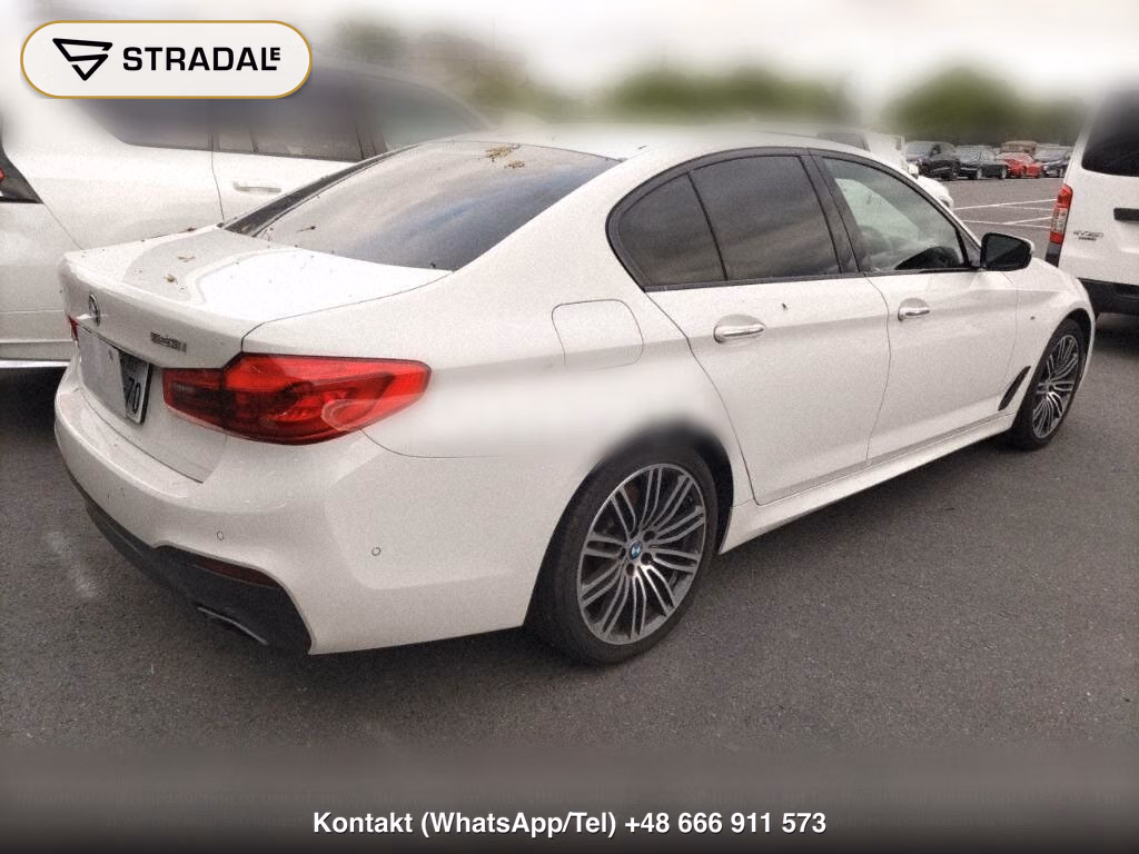 BMW 5 SERIES 4D 523I M-SPORT, miniaturka 6