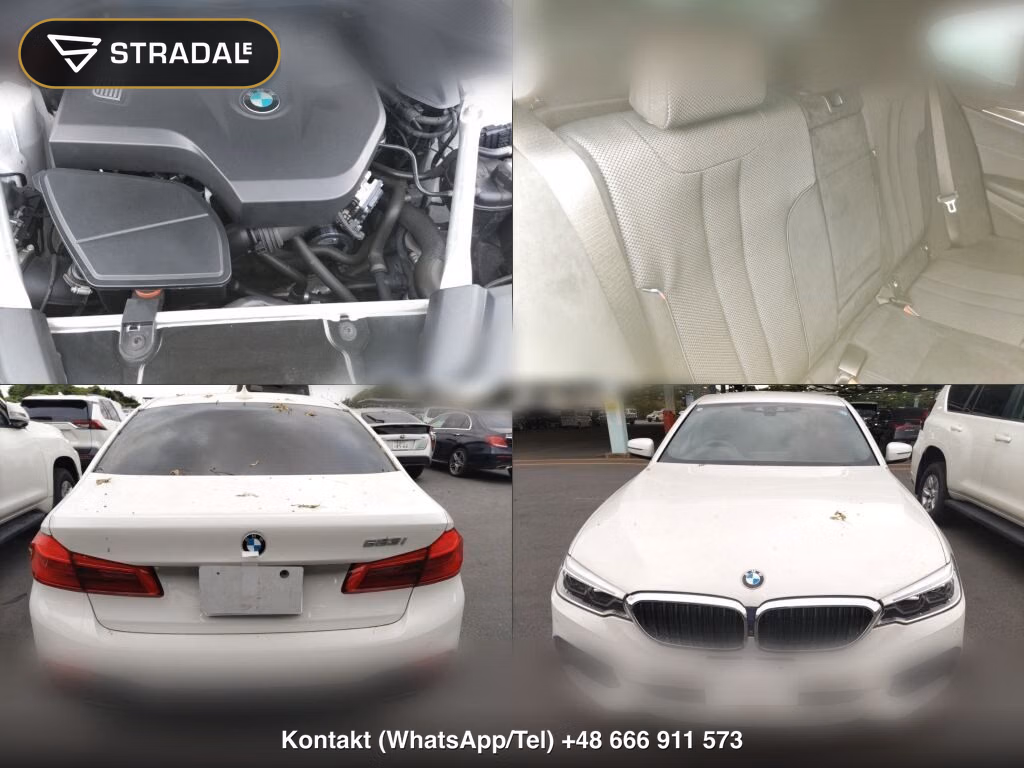 BMW 5 SERIES 4D 523I M-SPORT, miniaturka 7