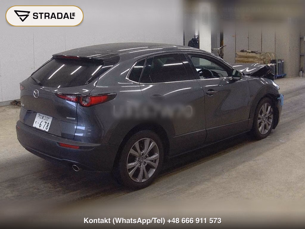 MAZDA CX-30 XD L PACKAGE, miniaturka 6