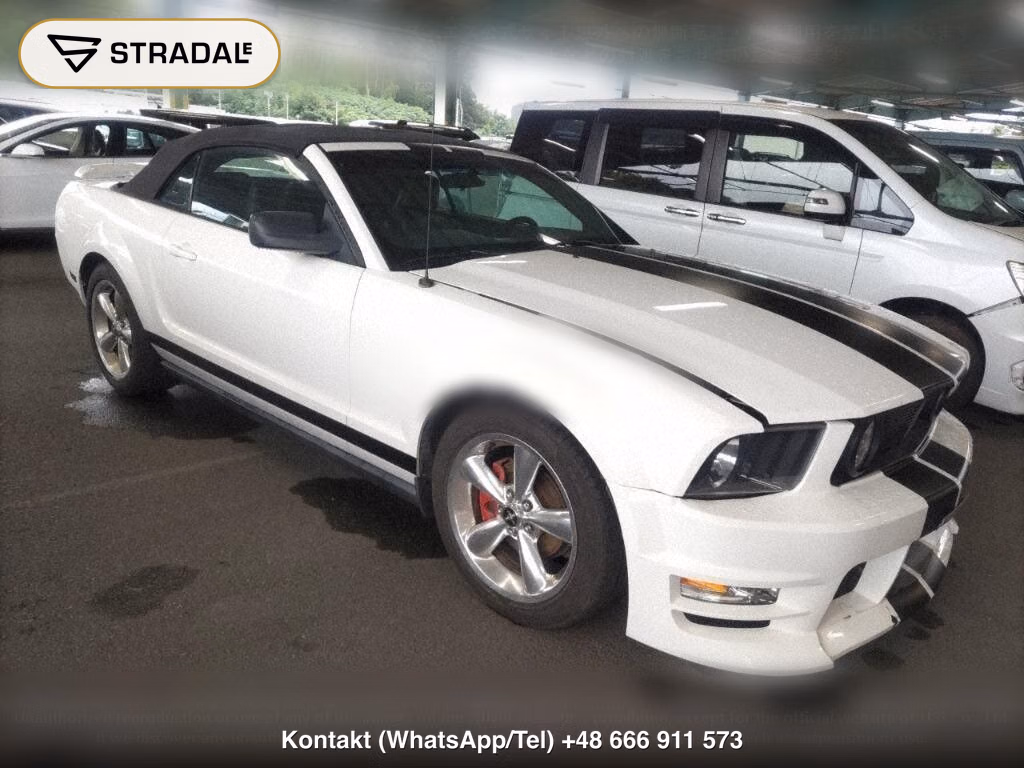 FORD MUSTANG OP OTHERS, miniaturka 2