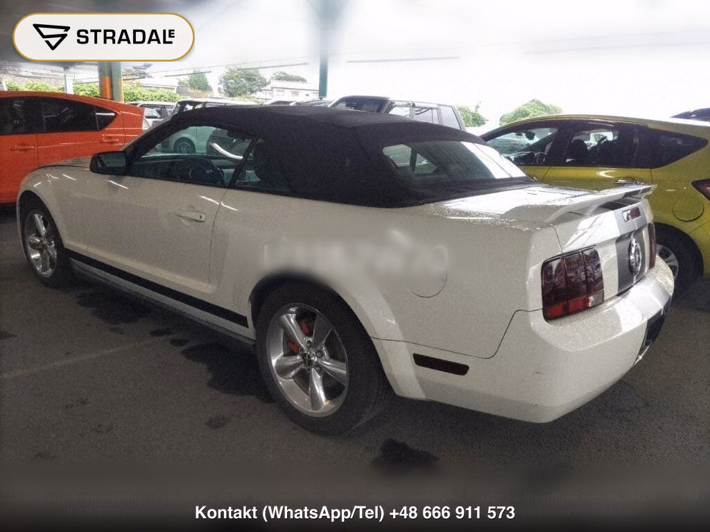 FORD MUSTANG OP OTHERS, miniaturka 3