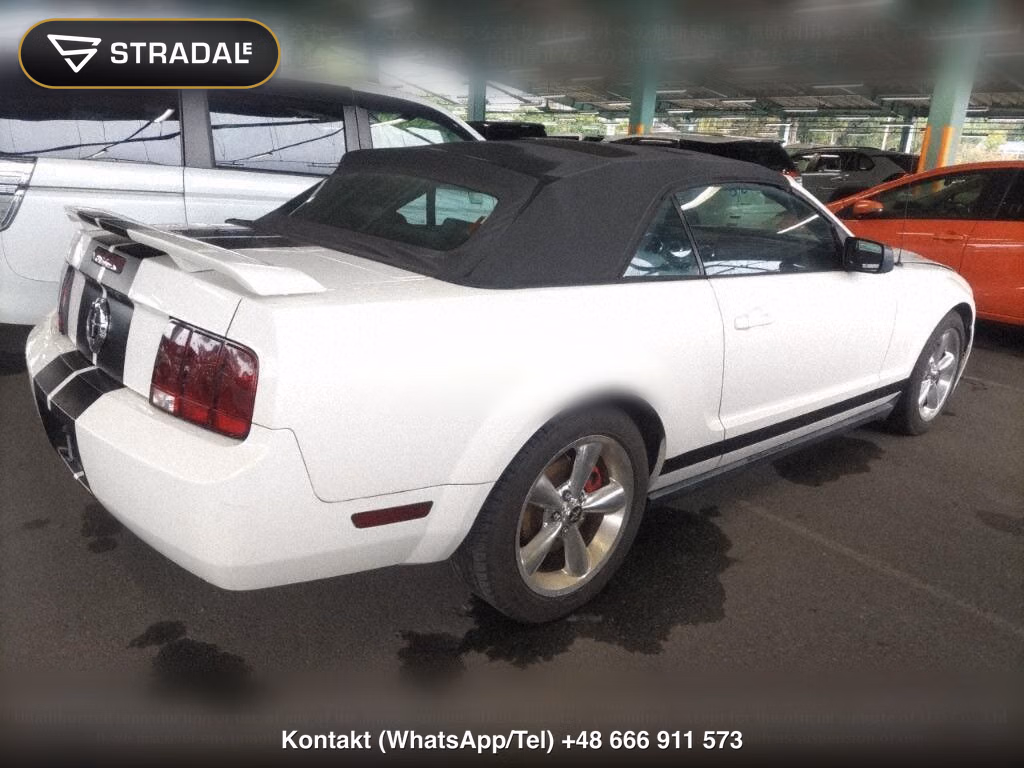 FORD MUSTANG OP OTHERS, miniaturka 6