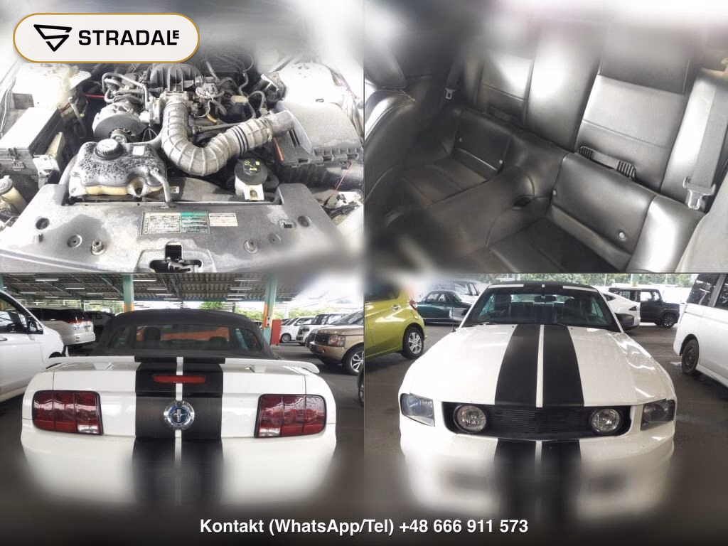 FORD MUSTANG OP OTHERS, miniaturka 7