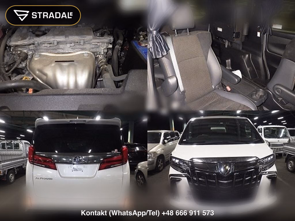 TOYOTA ALPHARD 4WD 2.5S TYPE GOLD, miniaturka 7