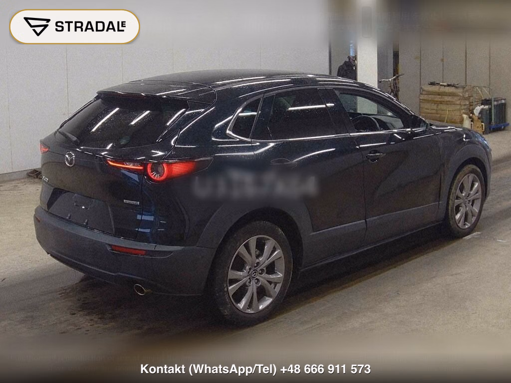 MAZDA CX-30 20S L PACKAGE, miniaturka 6
