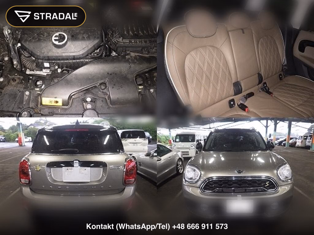 MINI MINI 5D 4WD COOPER SE CROSSOVER ALL 4, miniaturka 7