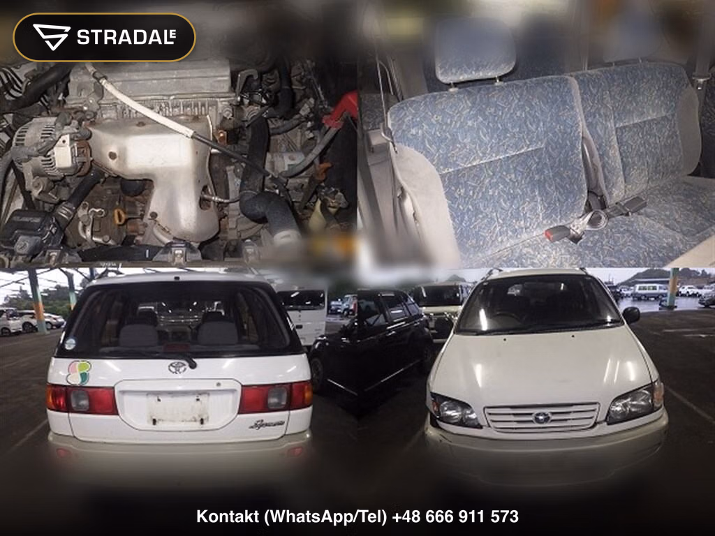 TOYOTA IPSUM, miniaturka 7