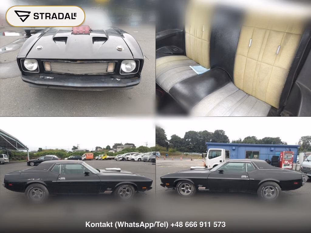FORD MUSTANG CP, miniaturka 6