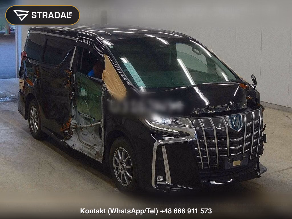 TOYOTA ALPHARD HYBRID 4WD SR C PACKAGE, miniaturka 2