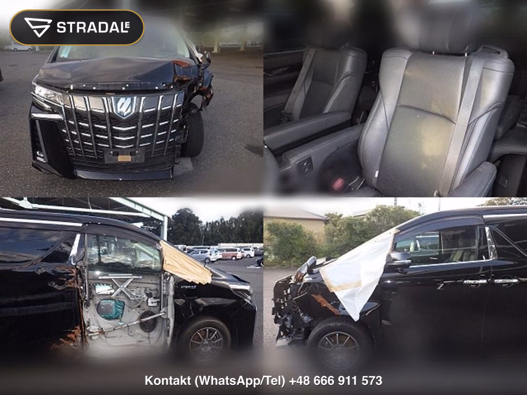 TOYOTA ALPHARD HYBRID 4WD SR C PACKAGE, miniaturka 7