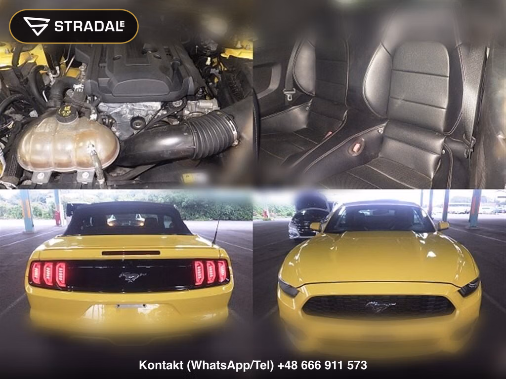 FORD MUSTANG OP, miniaturka 6