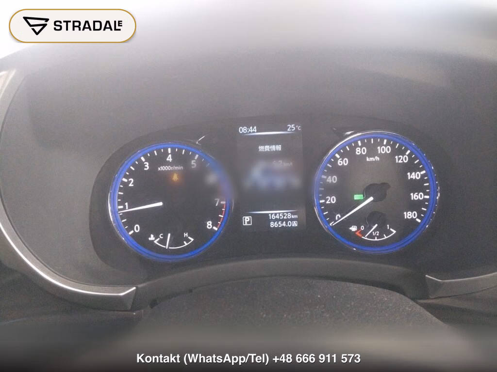 NISSAN ELGRAND 5D 250 HIGHWAY STAR, miniaturka 7