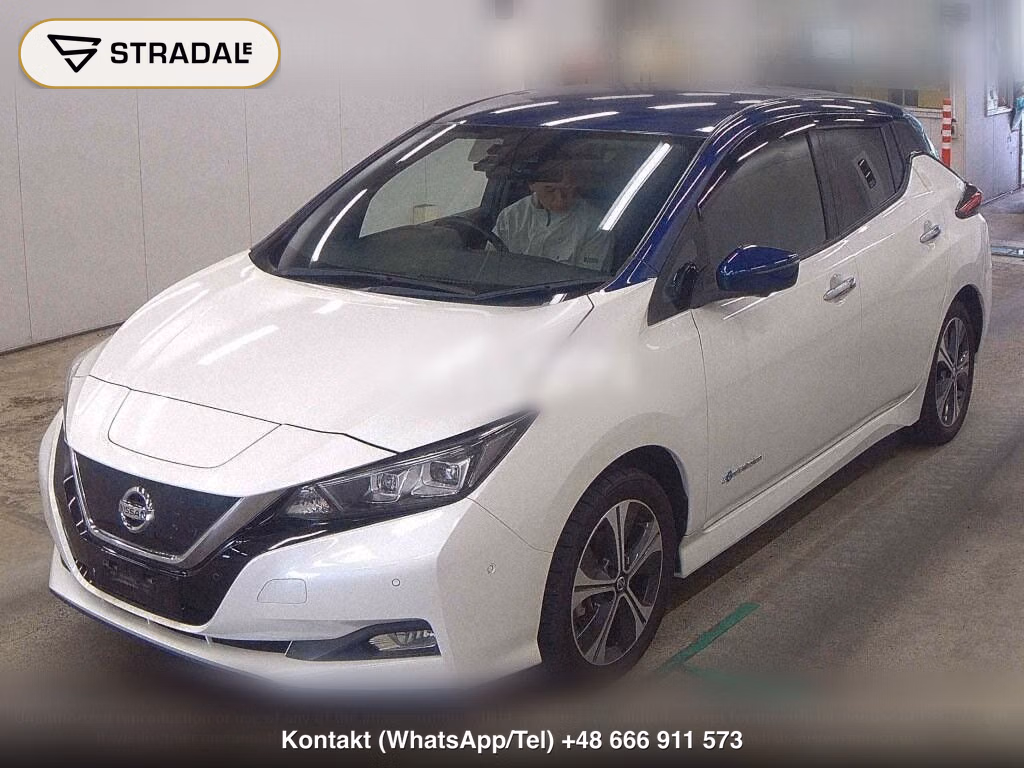 NISSAN LEAF E+ G, miniaturka 5