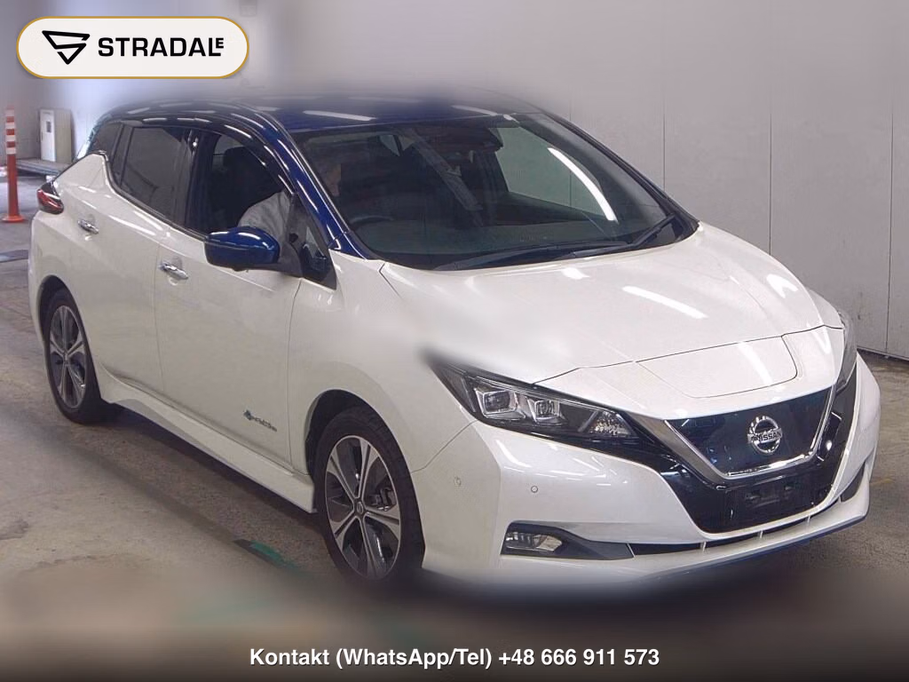 NISSAN LEAF E+ G 2019, aukcja z Japonii, zdjęcie 1