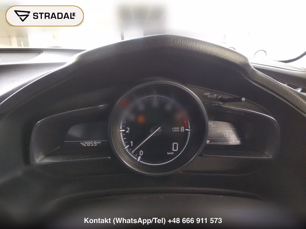 MAZDA AXELA SPORT 15S L PACKAGE, miniaturka 7