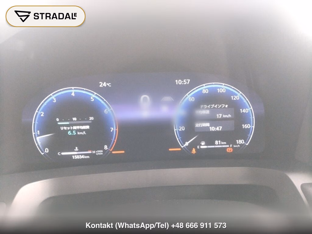 TOYOTA ALPHARD Z, miniaturka 7