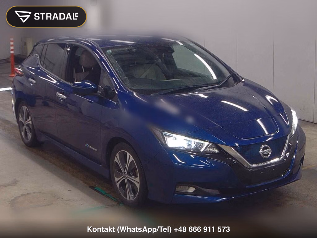 NISSAN LEAF G 2019, aukcja z Japonii, zdjęcie 1