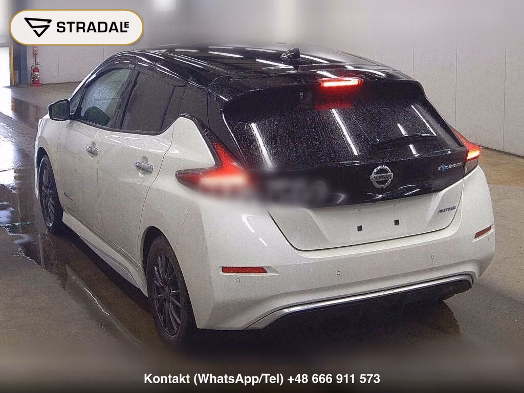 NISSAN LEAF AUTECH, miniaturka 3