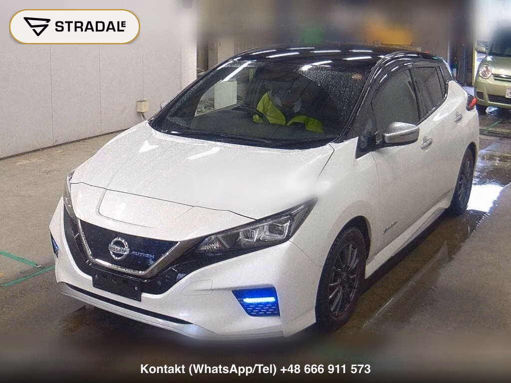 NISSAN LEAF AUTECH, miniaturka 5