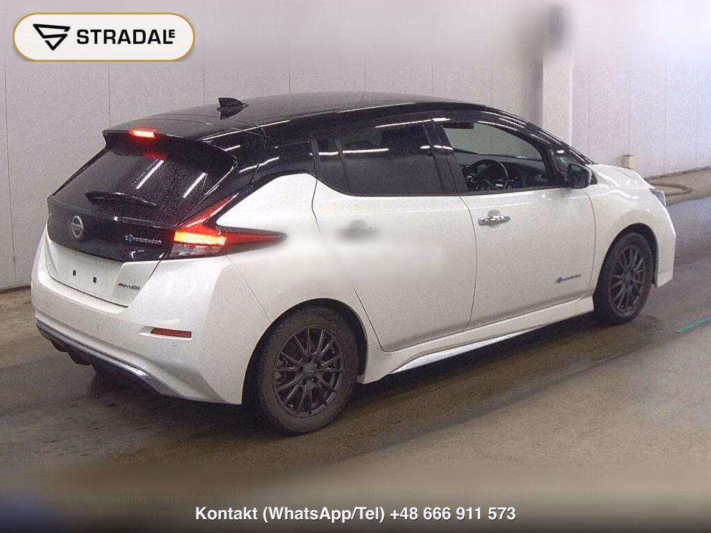 NISSAN LEAF AUTECH, miniaturka 6