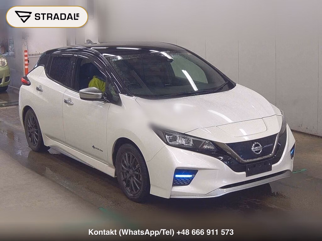 NISSAN LEAF AUTECH 2019, aukcja z Japonii, zdjęcie 1